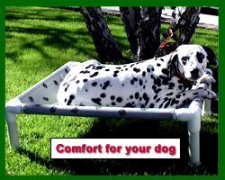 X-Large Forest Green w/White Paws Lounger