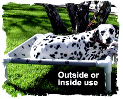 Dalmatian on a Doggie Lounger: outside or inside use