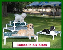 Doggie Loungers come in six sizes