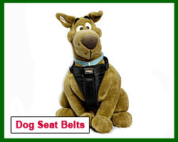 Dog seat belt harness