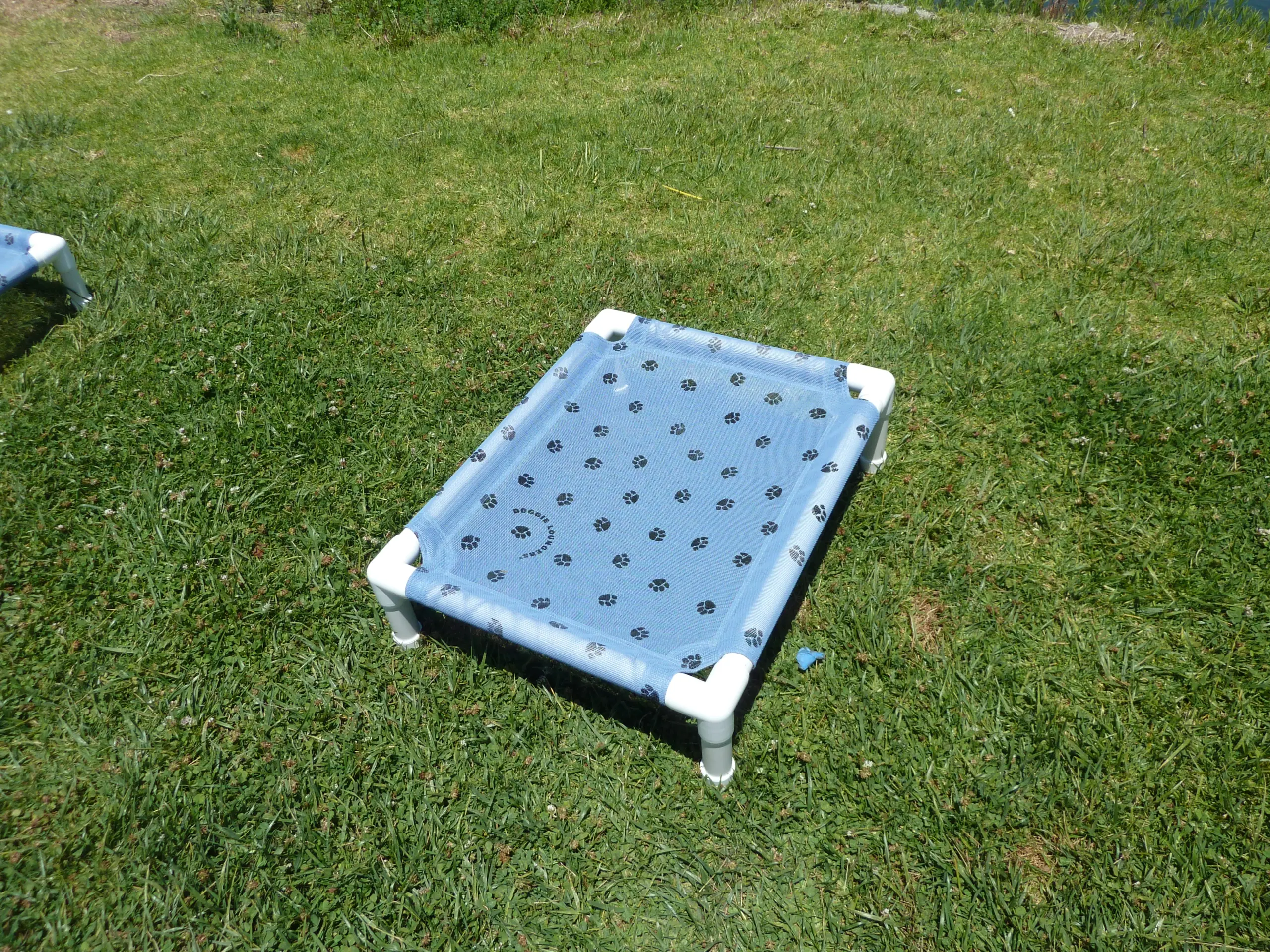 Blue Doggie Lounger with black paw print mesh